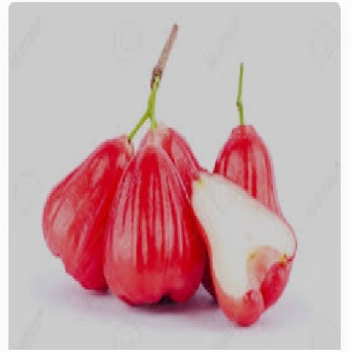 Rose Apple