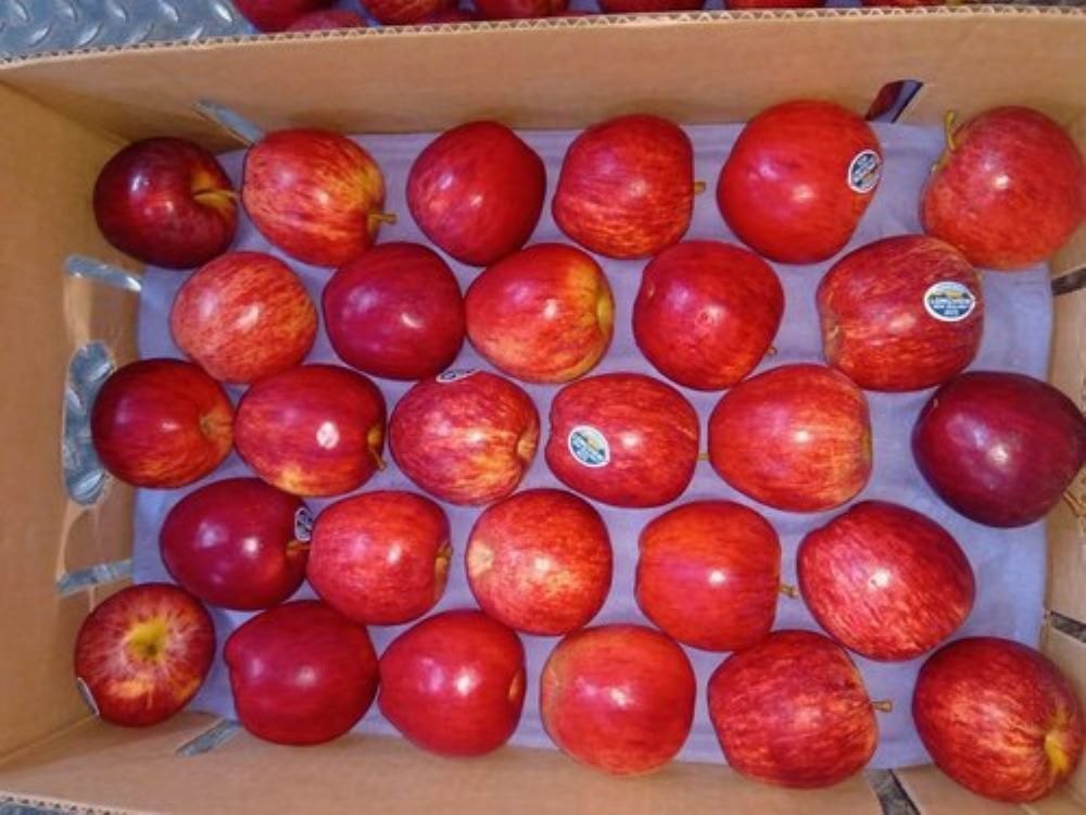 Kashmiri A Grade Shimla Apple, Packaging Type: Wood Box