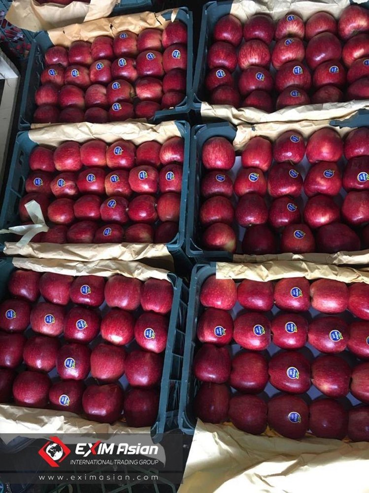 iran A Grade Rose Apple, Packaging Size: 10 Kg, Packaging Type: Carton