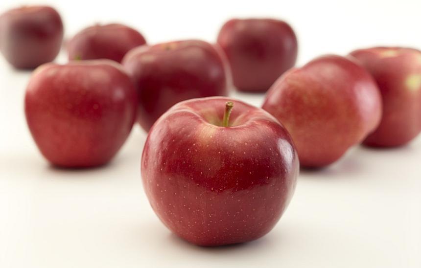2020 New Crop Fresh Fruits Red Fuji Apples