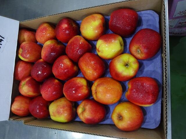 A Grade New Zealand Fuji Apple, Packaging Size: 5 Kg, Packaging Type: Carton