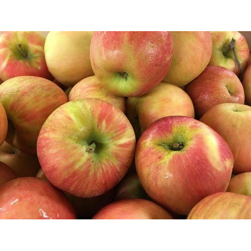 Fresh Fuji Apple
