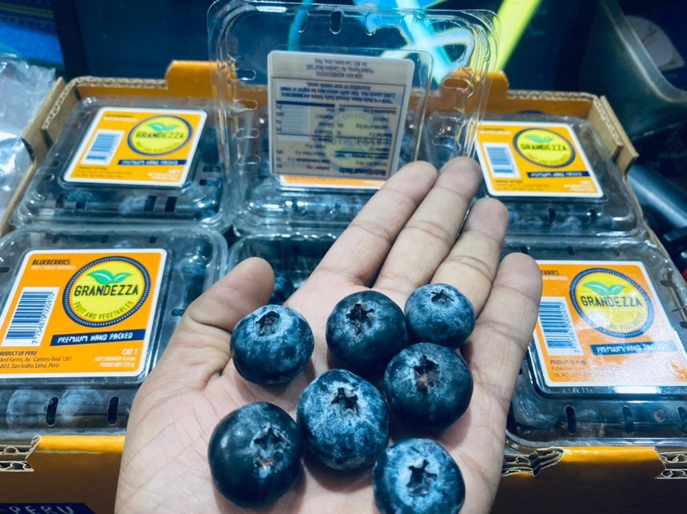 A Grade Blueberries jumbo, Packaging Type: Plastic Bag, Packaging Size: 12pkt