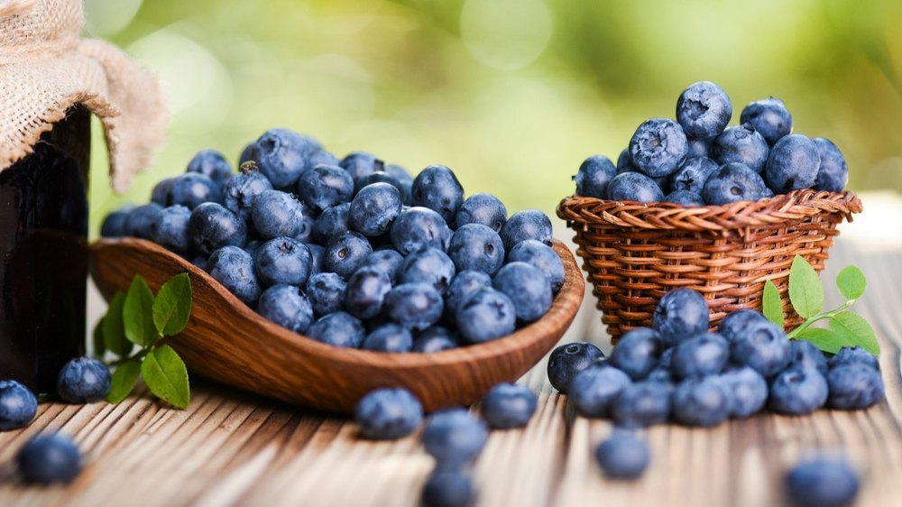 A Grade Fresh Blueberry Fruit