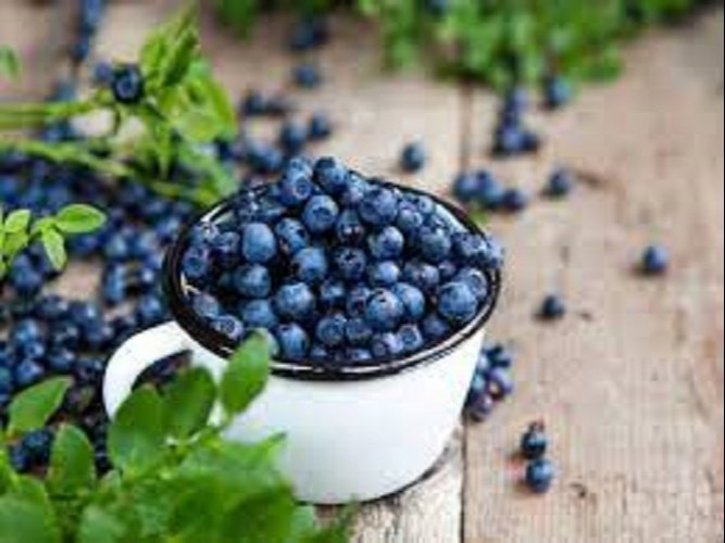 A Grade Seedless Blueberry, Packaging Size: 1 Kg