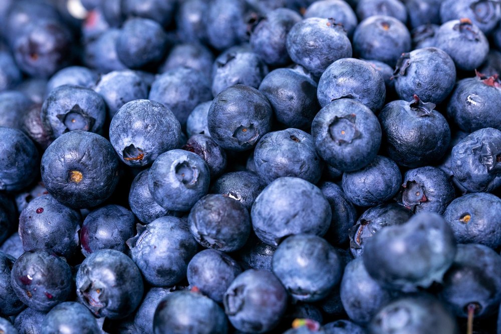 A Grade Blueberries Fresh Fruit, Packaging Size: 125 grams pack