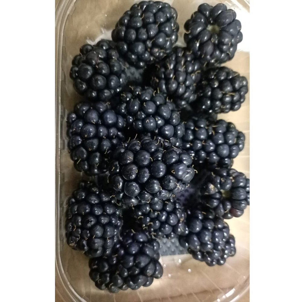 A Grade Fresh Blackberry, Packaging Type: Box, Packaging Size: 125g
