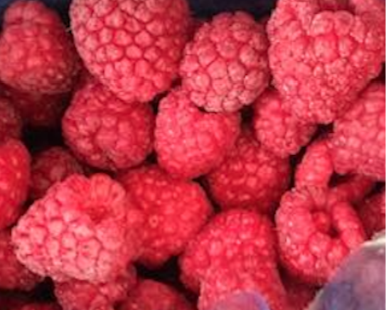 food Rasberry IQF Frozen Raspberries, Packaging Type: Packet, - 18