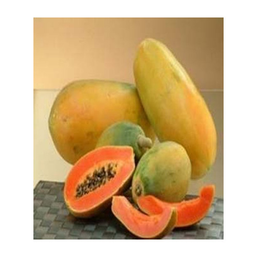 Pure Papaya Pulp