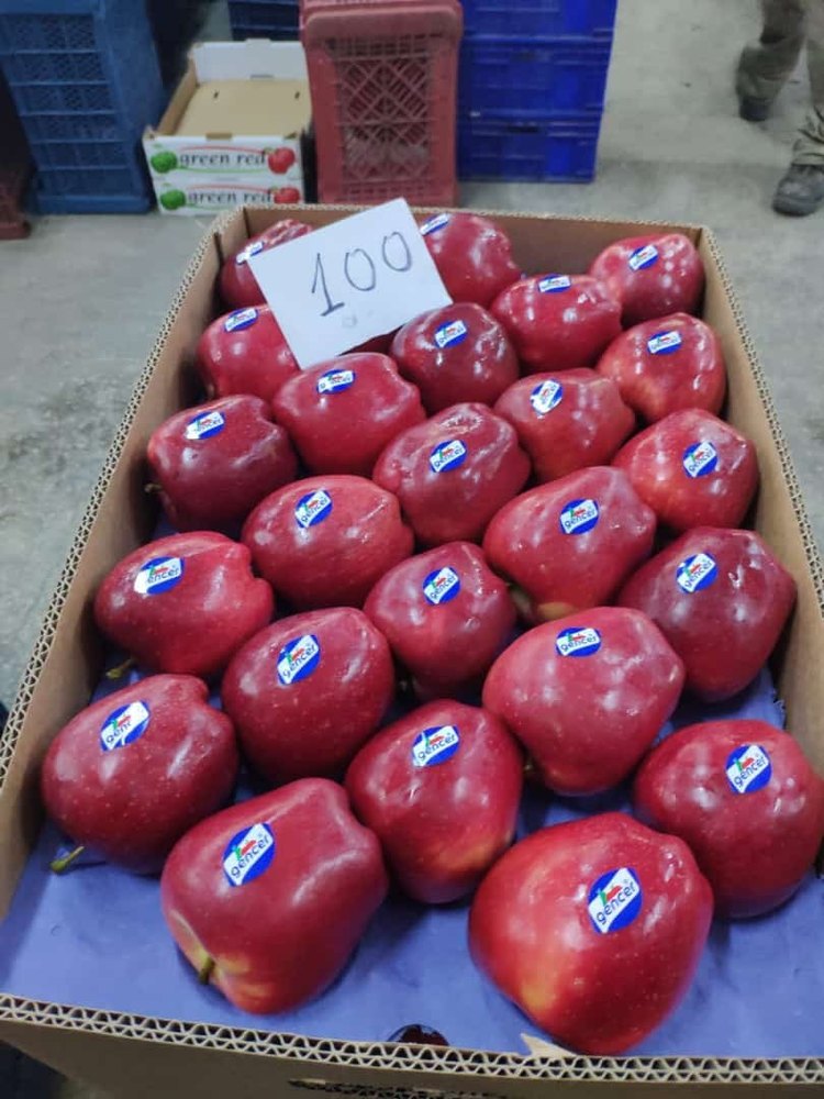 A Grade Red Delicious Apple Turkey, Packaging Type: Carton, Turky