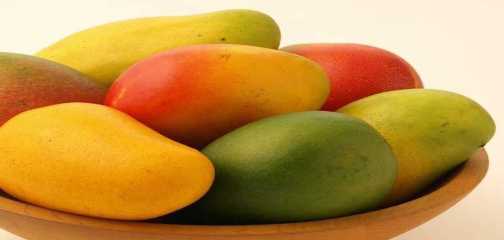 Shivambika Global Yellow Fresh Mango Fruits, Carton, Packaging Size: 5 Kg