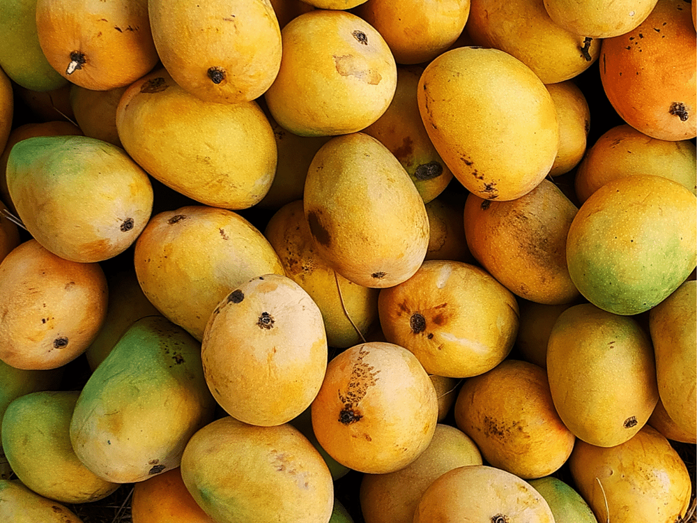 A Grade Yellow Alphonso Mango, Loose