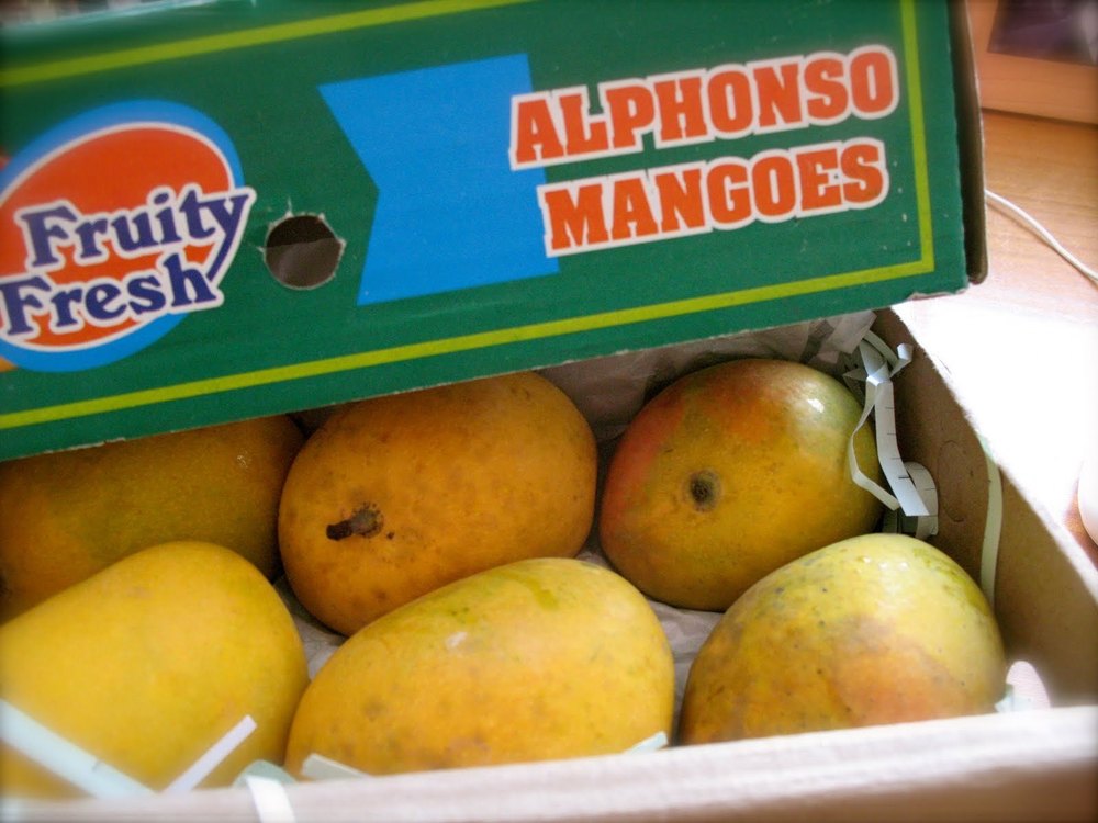 Yellow Common Alphonso Mangoes, Carton, Packaging Size: 15