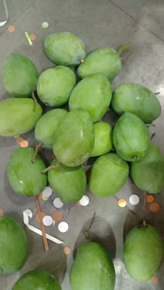 Raw Rajpuri Mango