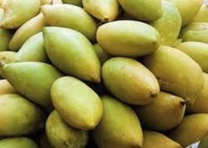 Organic Totapuri Mango, Carton, Packaging Size: 20 Kg