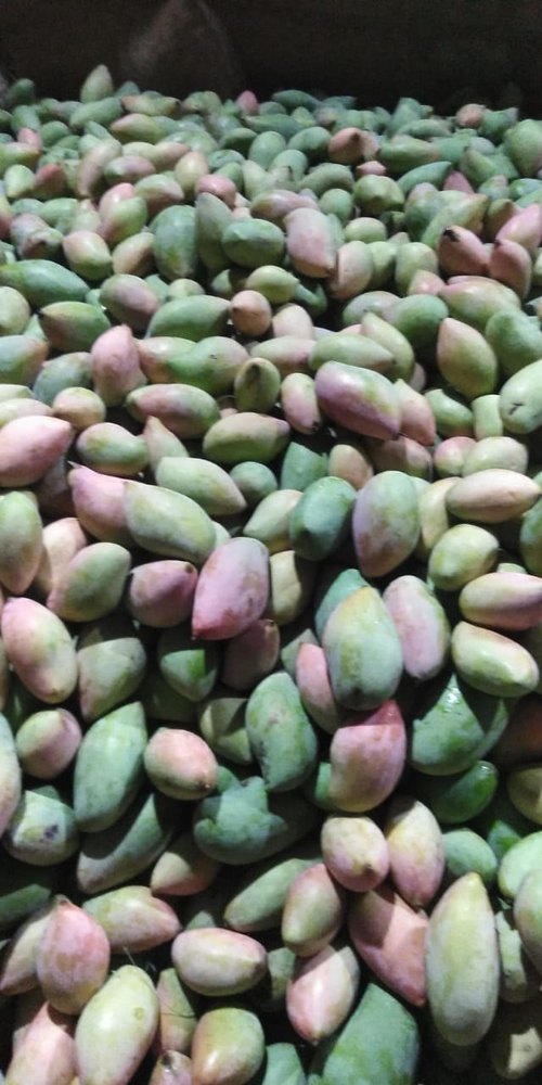 Green Fresh Totapuri Mango, Crate, Packaging Size: 10 Kg