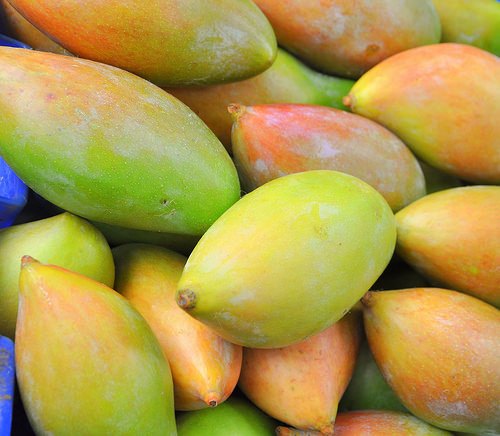 Yellow Organic Totapuri Mango, Carton, Packaging Size: 5 Kg