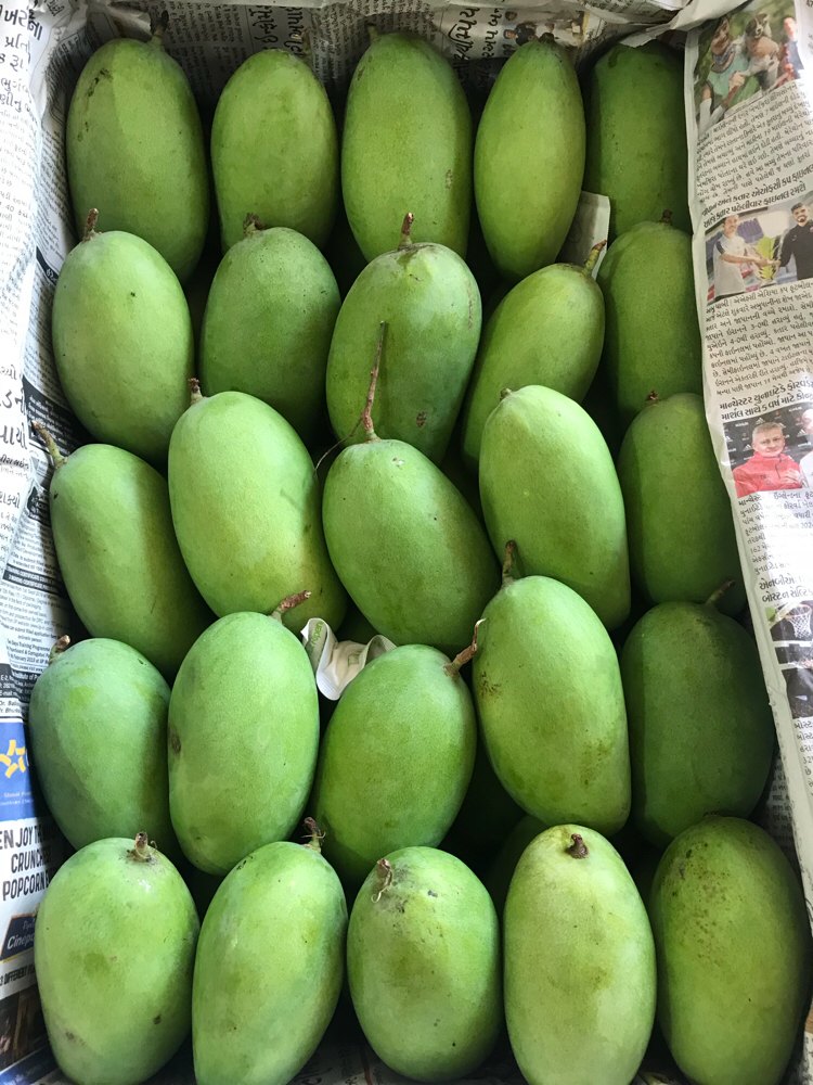 Dasheri Mango, Packaging Size : 20 Kg