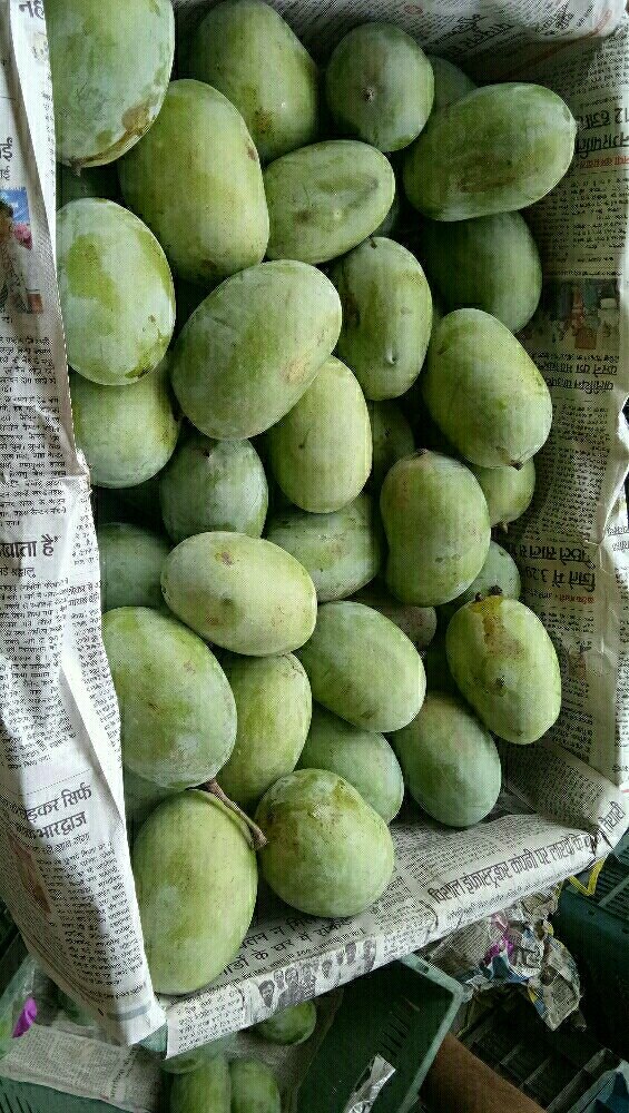 Langra Green Mangoes, Packaging Size: 20 Kg, Crate