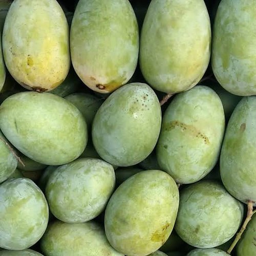 Green Fresh Langra Mango, Crate, Packaging Size: 20 Kg