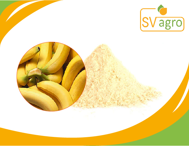 Spray Dried Banana Powder
