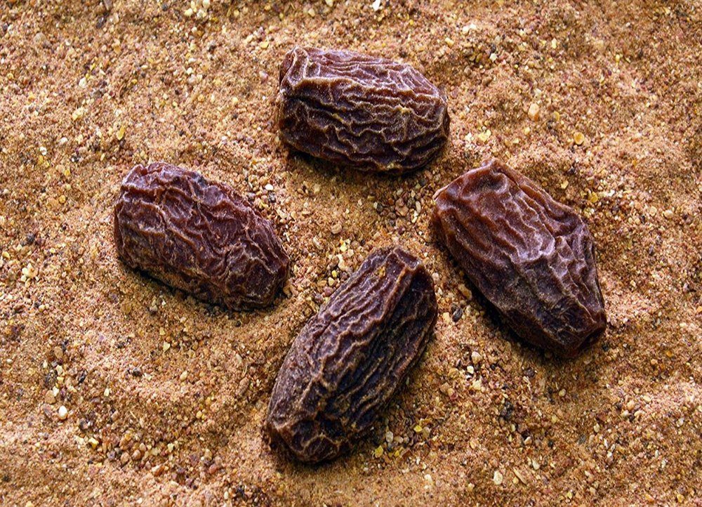 Saanjh Brown Dehydrated Dates Powder, Packaging: Plastic Bag Or Polythene