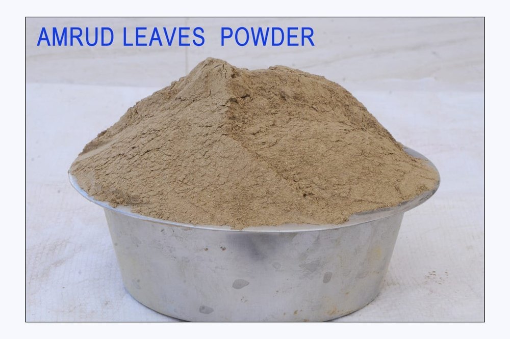 Amrood Leaf Powder (Guava), Packaging Size: 25 kg, Packaging Type: Bag