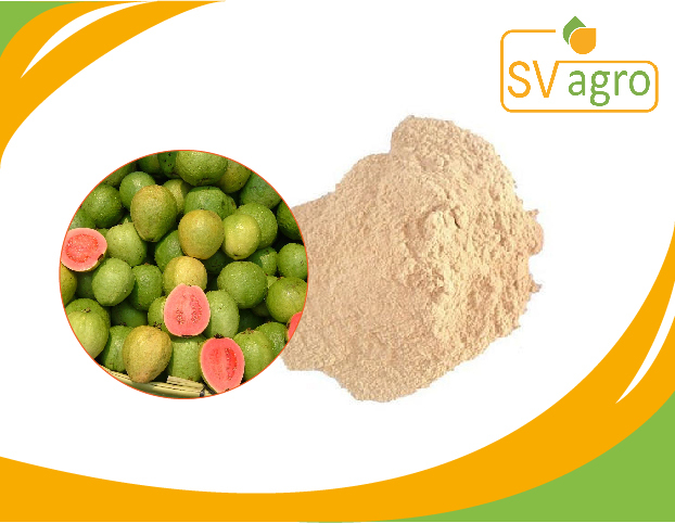 Off White Spray Dried Guava Powder