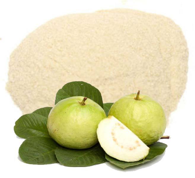 Spray Dried Guava Powder, HDPE Drums