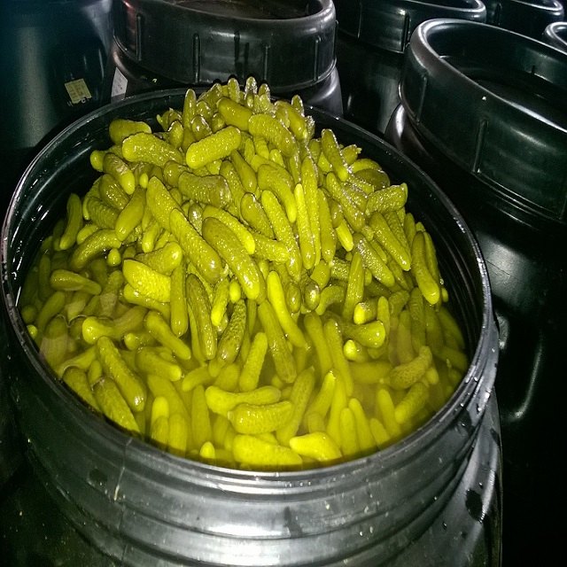 Pickled Cucumber / Cornichon, Barrels, Packaging Size: 180 Kgs