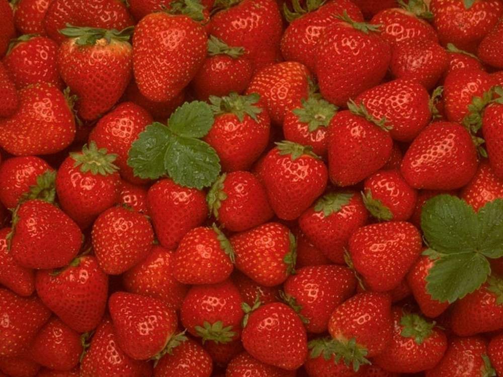 Canned Strawberries