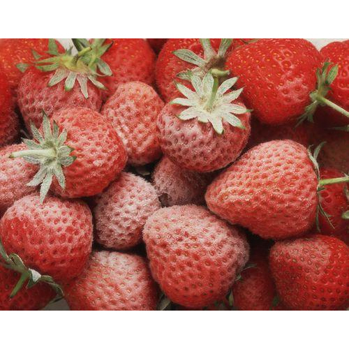 Sweet Frozen Strawberry