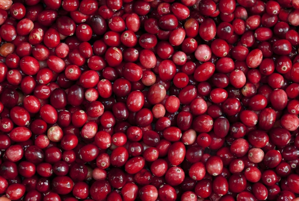 A Grade Natural Frut Frozen Cranberries, Packaging Type: Plastic Box, Packaging Size: 1Kg