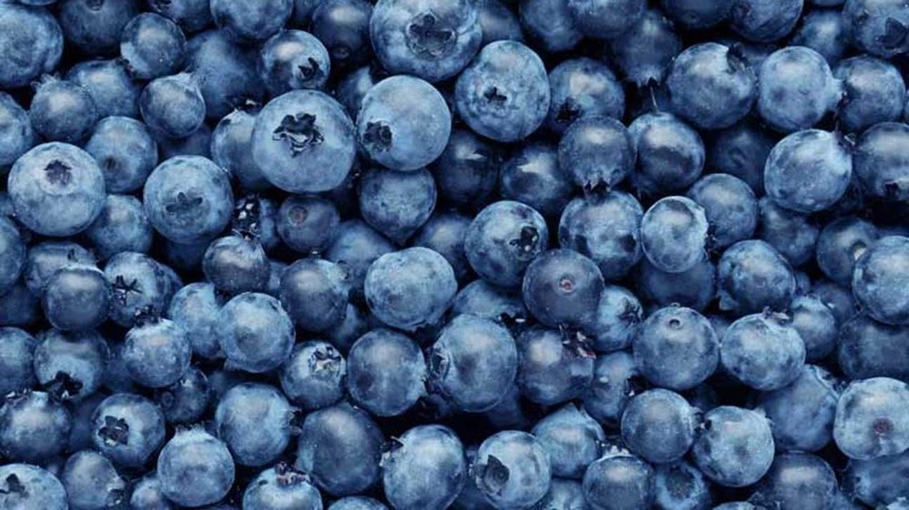 A Grade Frozen Blueberry, Packaging Type: Loose