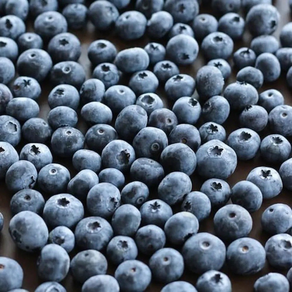 Sweet Frozen Blueberry, Natural