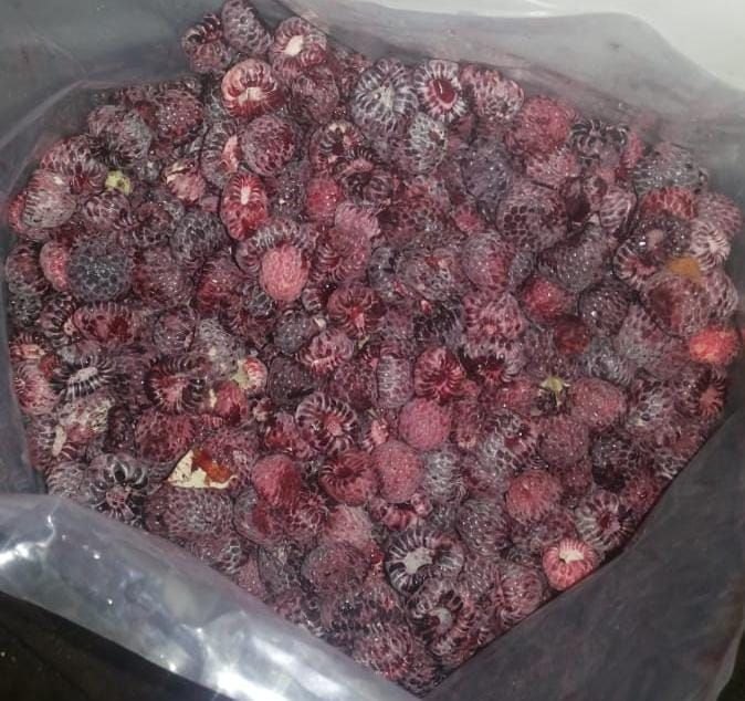 Natural Frozen Indian IQF Raspberry, Packaging Size: 1 Kg, Packaging Type: Packet
