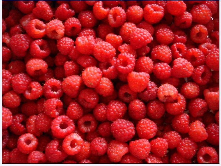 Frozen Raspberries Pulp