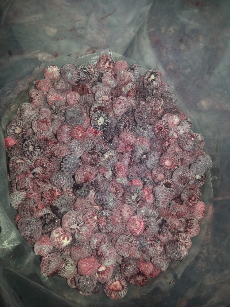 Natural Agrophonics Frozen Raspberry, Packaging Type: Packet, Blast Process