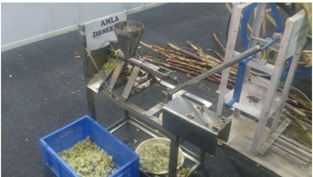 Automatic Amla Shredding Machine