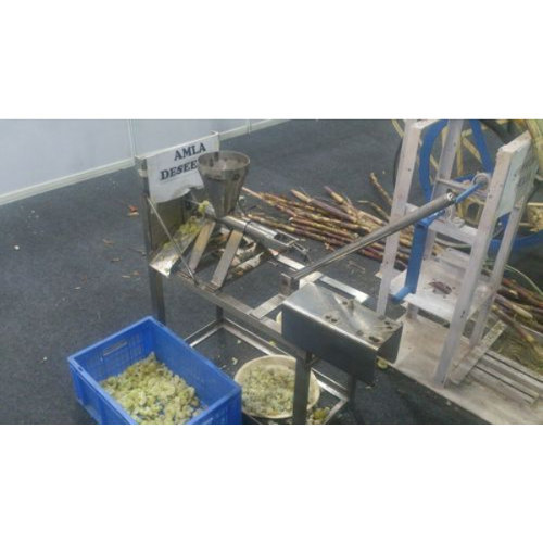 Amla Seed Remover Machine