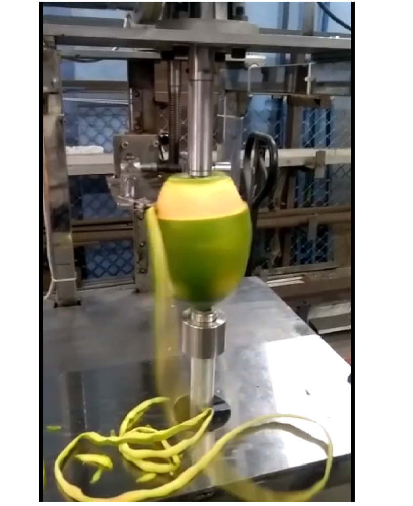 Fruit Peeling Machine, Capacity: 10-20 kg/hr