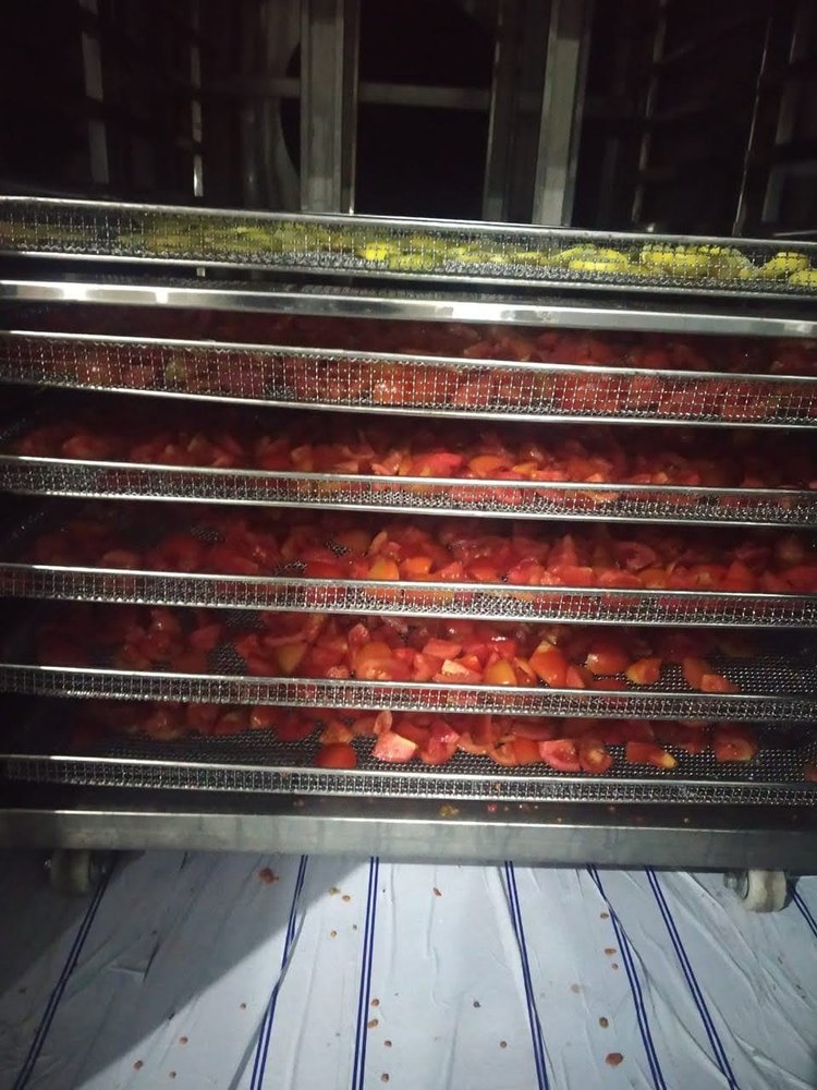 Food Products Dehyderator Plant