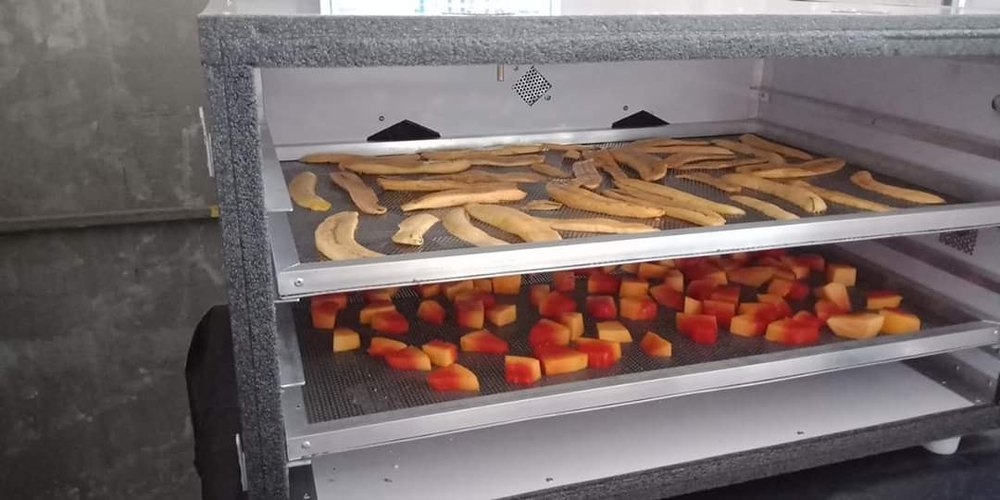 Stainless Steel And Aluminium Food Dehydrator