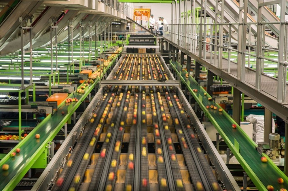 Dehydrated Fruit & Vegetable Plant Setup Consultants, Type Of Industry Business: Depend On The Project