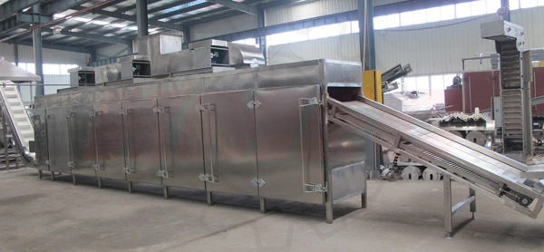 Automatic Garlic Dehydration Plant