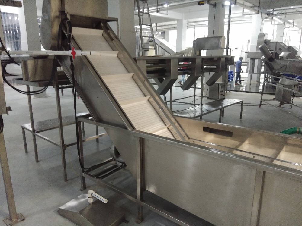 Fruit & Vegetable Washing Machine, 500 Kg/hr