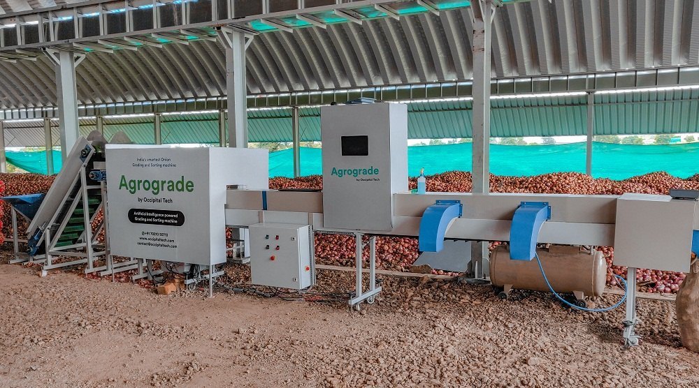 Automatic Orange Grading Machine, 10 Metric Ton/Hour