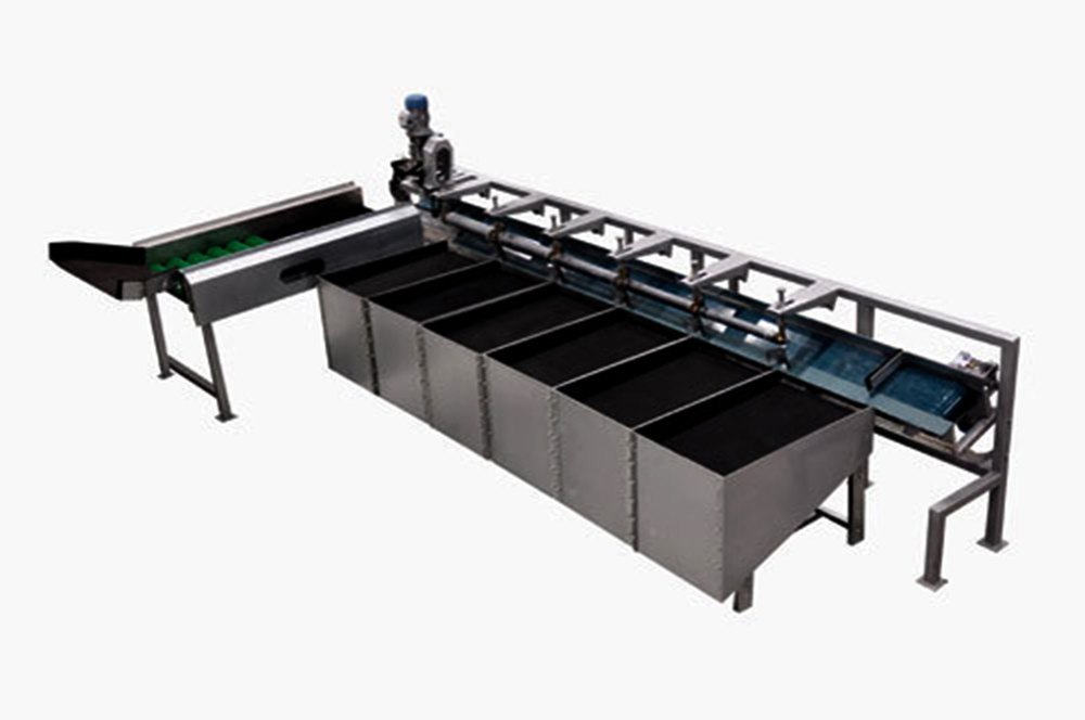 Automatic single line Apple Grading Machine, 10 Ton/Hr