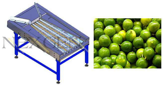 Fruits Grading Machine, Capacity: 500 kg/Hour