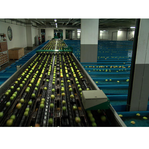Automatic Apple Grading Machine